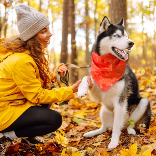 100 Pcs Fall Thanksgiving Dog Bandanas Bulk for Small Medium Large (Fall / 25.6 x 17.7 x 17.7 Inch)