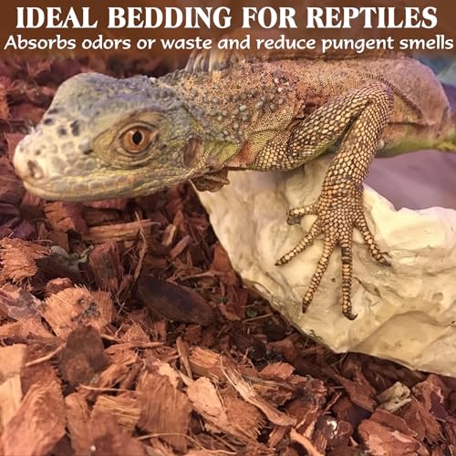 10LBS Coconut Husk Chip Substrate for Reptiles (1 Pack-10 LBS)