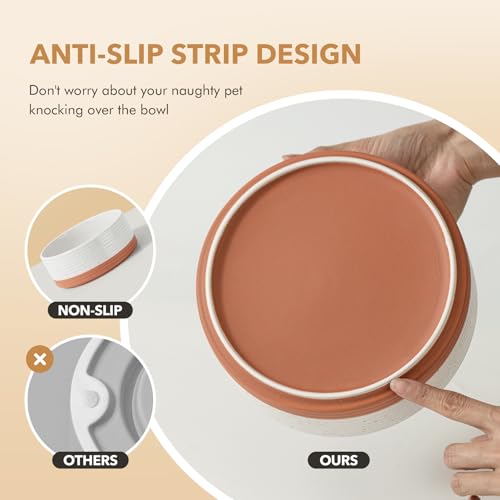 Dog Bowls Ceramic (2 Bowls-Vanilla White / 1.6CUPS)