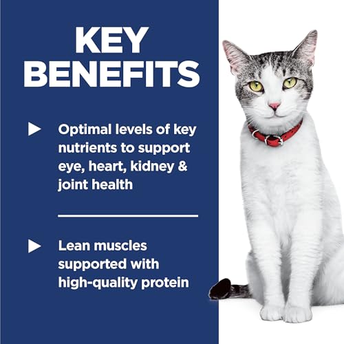 Senior 11+ Dry Cat Food (15.5 Pound (Pack of 1))