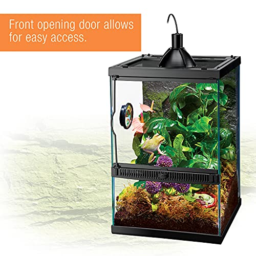 11 Gallon Glass Tropical Vertical Terrarium Kit (Terrarium)