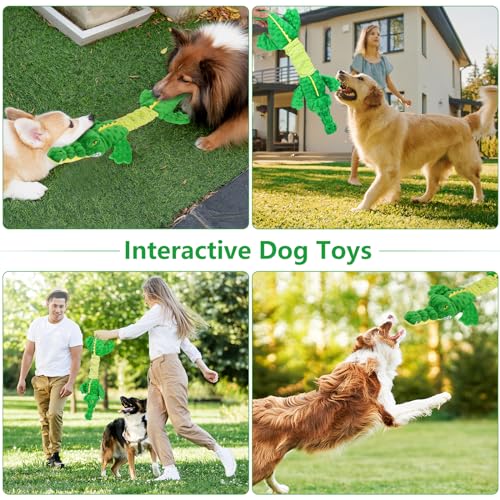 Large Squeaky Alligator Dog Toys (Alligator)