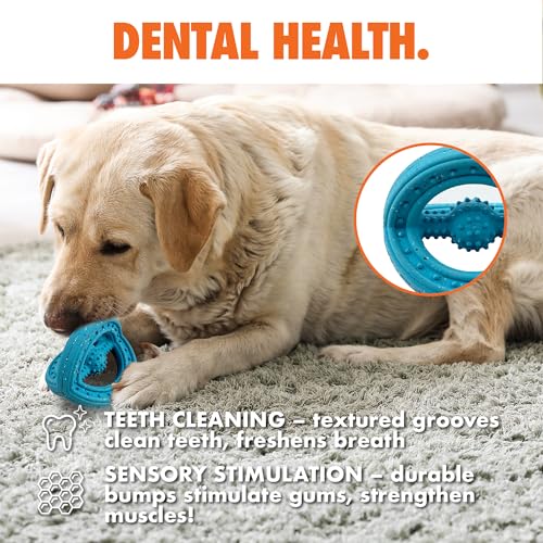 Max Fusion Phoenix Dog Toy