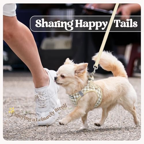 Dog Harness Medium Sized and Leash Set (Beige Check / M (chest: 16 - 18.5"))