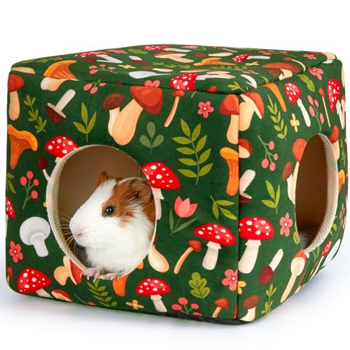 Guinea Pig Hideout (Green Mushroom)