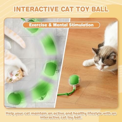 Interactive Cat Toys for Indoor Cats (Green)