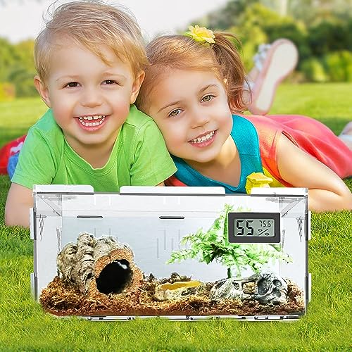 Reptile Terrariums (Terrestrial S (No Tray))