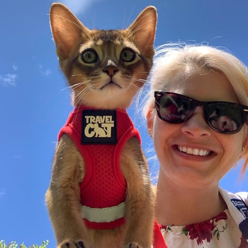 Travel Cat Harness and Leash Set (Large / Red)