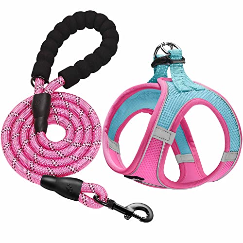 Dog Harness with Leash Set (XL / Blue / Pink)
