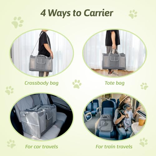 Large Cat Carrier for 2 Cats (Grey(Large))