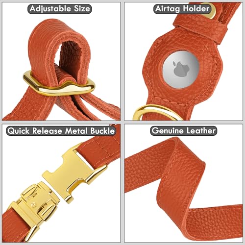 Leather Airtag Dog Collar (Orange / M, 14"-18" Neck Fit)