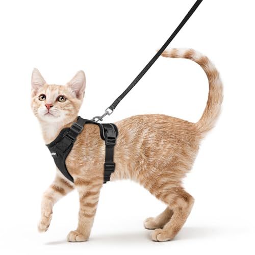 Cat Harness and Leash Set (Xs / Black)