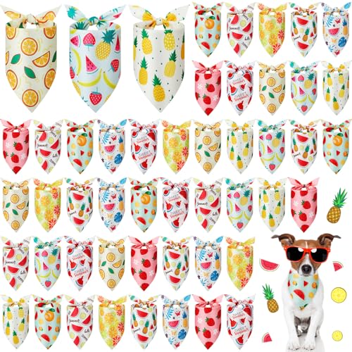 50 Pcs Fruit Dog Bandanas Bulk for Summer Soft Bibs Adjustable Triangle pet Bandana for Small Medium Large Costume (Fruits Pattern / 19.7 x 13.8 x 13.8 Inch)