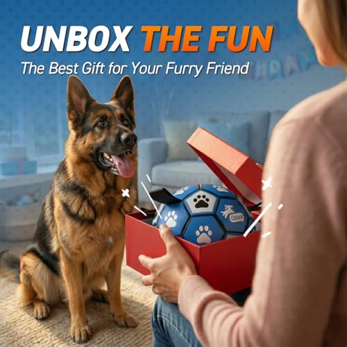 Extra Large Dog Toy Soccer Ball (Blue Gray / Extra Large Size 5 (9 Inch))