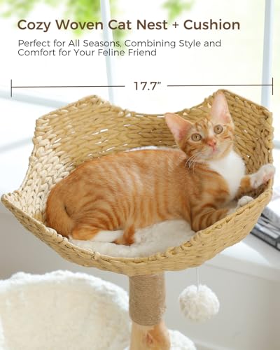 Modern Cat Tree for Large Cats (40" / Cloud White)