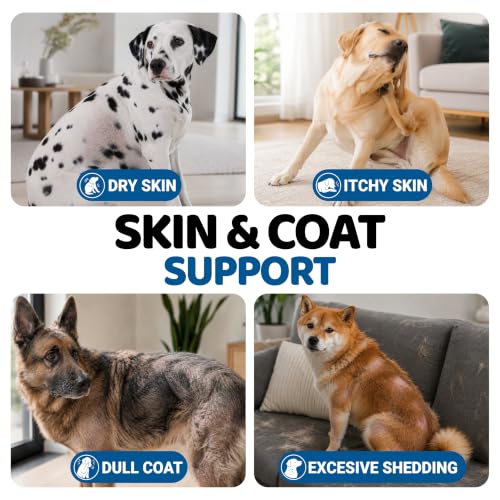 2 Pack) Omega 3 Fish Oil for Dogs - 340 Ct - Dog Skin and Coat Supplement (Skin & Coat / 340 Chews)