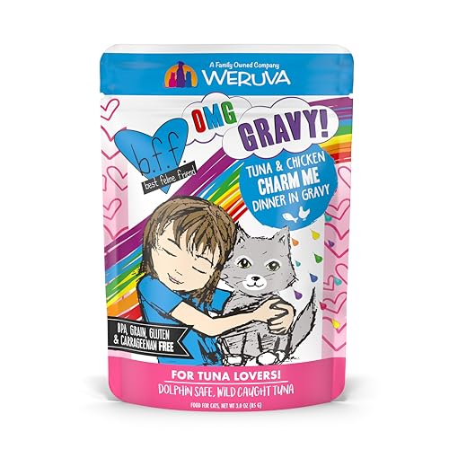 B.F.F. OMG Best Feline Friend Oh My Gravy! Tuna & Chicken Charm Me with Tuna & Chicken in Gravy Cat Food (3 Ounce (Pack of 12))