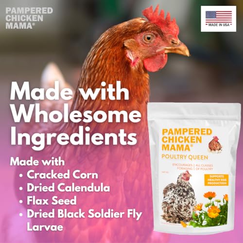 Mealworm Black Soldier Fly Larvae (10 pounds)