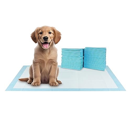 XXL Puppy Pads 40 Count 36" x 30" (XXL / 40-Count (Standard))