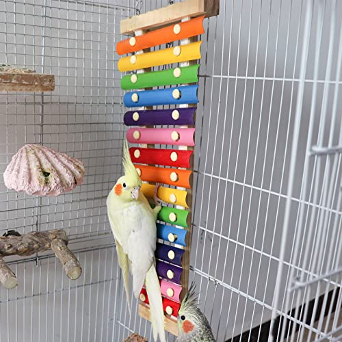 Large Colorful Bird Xylophone Toy