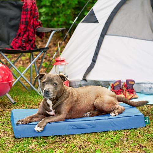 Cooling Dog Bed (Large / Blue)