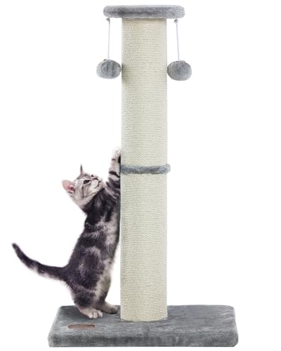 34Inch Tall Cat Scratching Post for Indoor Cats Adults (Grey)