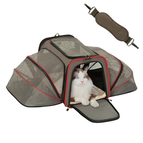 Expandable Cat Dog Carrier for 2 Cats (19"L x 12"W x 12"H / Brown)