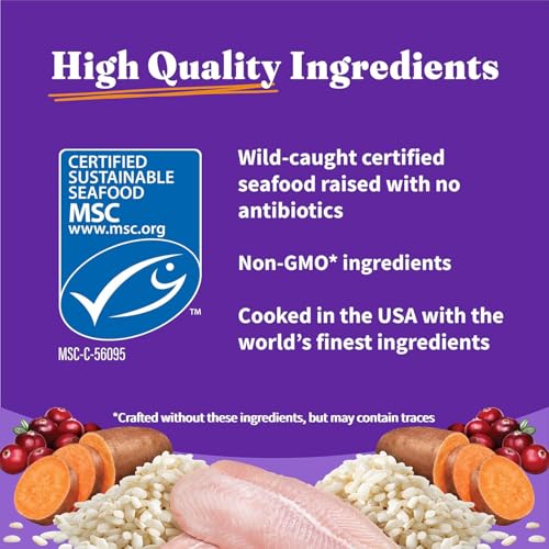 Holistic Dry Cat Food