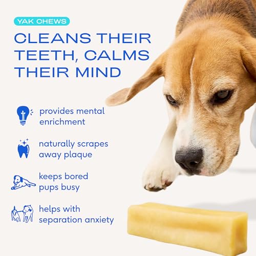 Yak Cheese Himalayan Dog Chews (5 Chews)