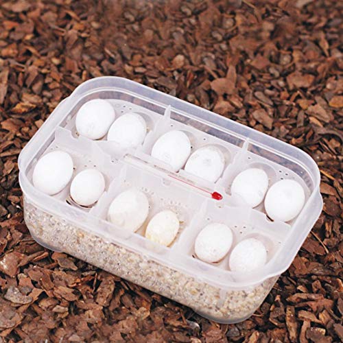 Reptile Breeding Box