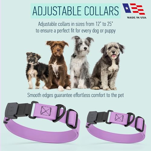 Biothane Waterproof Dog Collar with Herm Sprenger Stainless Steel Quick Release Buckle (W 3/4" x L 12"-19" / Amethyst Purple)
