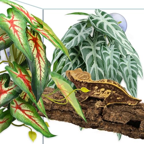2 Pack Reptile Plants for Terrarium