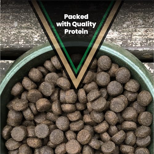 Performance Dry Dog Food (5 Pound (Pack of 1))