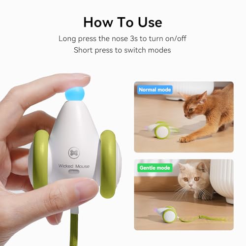 Interactive Cat Toys for Indoor Cats (Mouse Neo-Green)