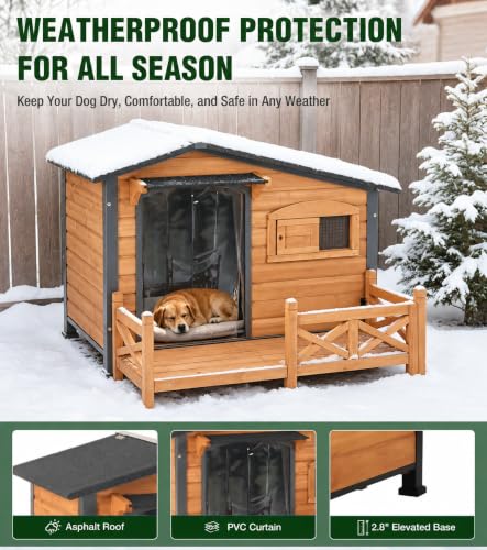 Heated Dog House for Outside Iron Frame Outdoor Shelter