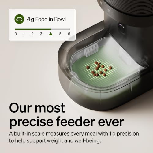 Automatic Cat Feeder with Camera (Black / 5l single bowl)