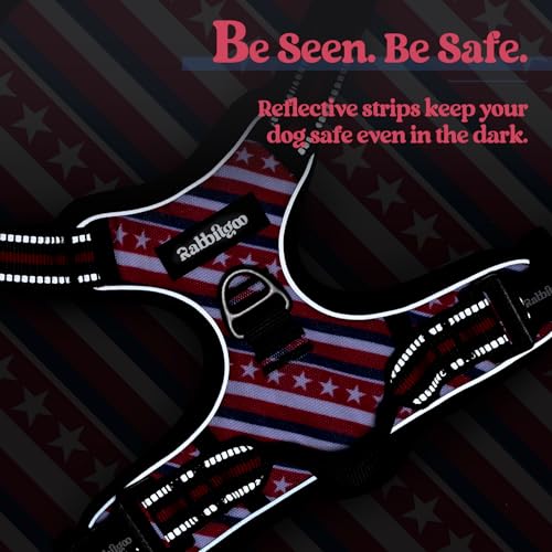 Dog Harness No Pull for Large Dogs with 2 Leash Clips (X-Large / Red Stripe)