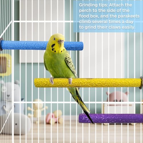 PIVBY Bird Perches for Cage Colorful Parrot Stand Toy Platform Paw Grinding Stick for Small Medium