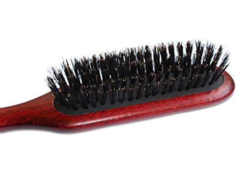 Professional Grooming Brush for Dog and Cats (8.5" / Maxi Pin Boar)