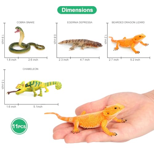 Animal Figurines Snake Toys 11PCS Reptile Figures Cold Blooded Amphibians Lizard Zoo Pack for Toddlers Kids Christmas Decoration Gift