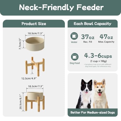 Dog Bowls Elevated (Matte Khaki)