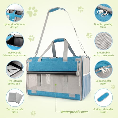 Large Cat Carrier for 2 Cats (Blue(Large))