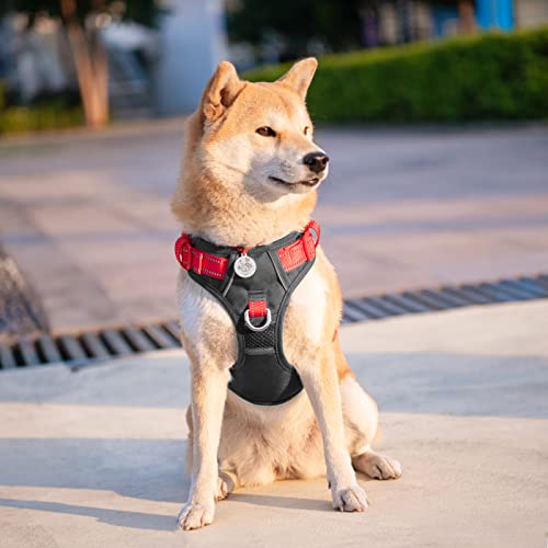 No Pull Dog Harness (Black Base & Red Straps / Small)