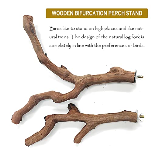 4 PCS Natural Wood Bird Perch Stand