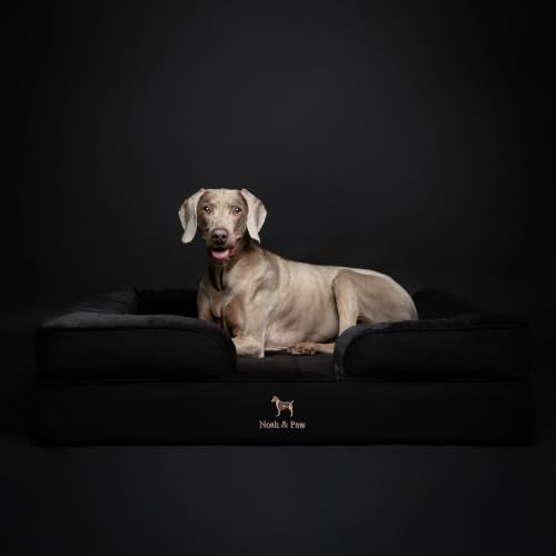 Large Dog Bed (Black - DE / X-Large)