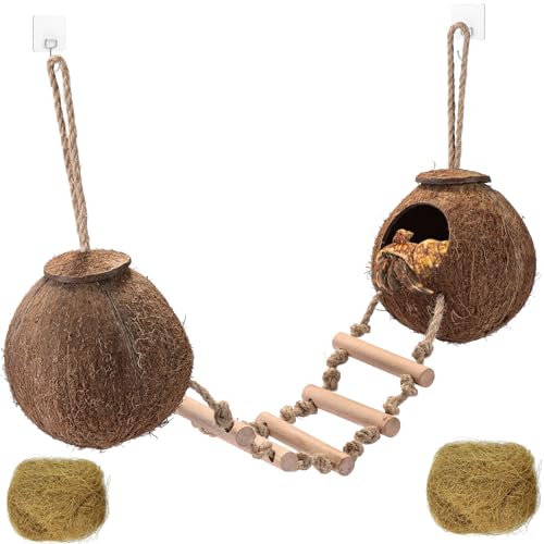 Gecko Tank Accessories