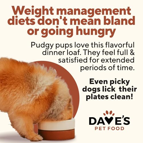 Weight Management Dog Food (13.2 Ounce (Pack of 12))