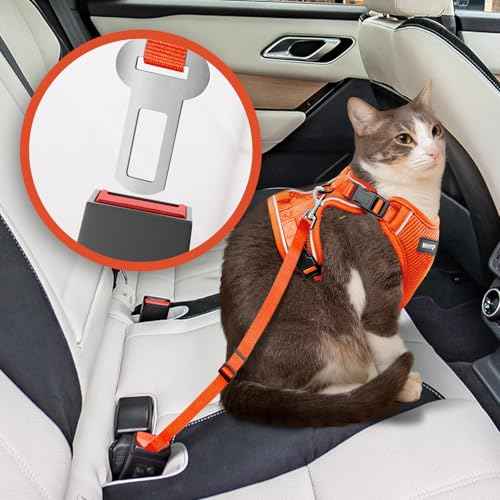 Cat Harness and Leash for Walking Escape Proof Soft Adjustable Cat Leash Breathable Comfortable Vest Easy to Wear Kitten Harness for Outdoor Travel (Orange / Medium)