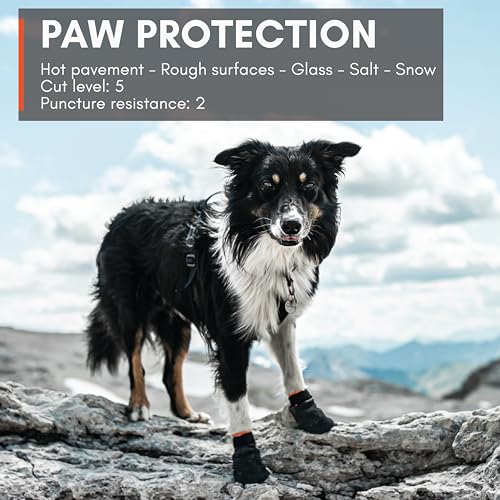 Dog Boots for Hot Pavement (Large)
