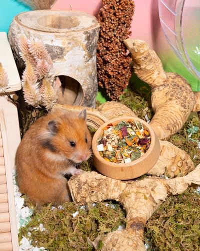 Nature Golden Hamster Food (2.2 Pound (Pack of 1))